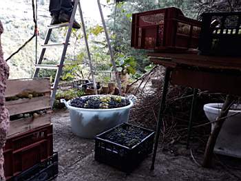 12-2019-09-21 at 20.00.49.jpeg